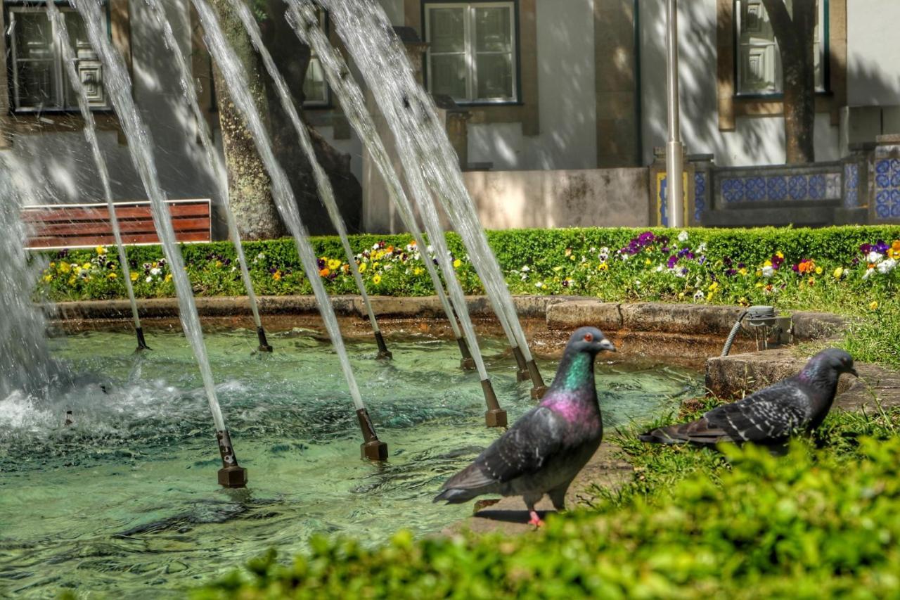 Vila Casa Da Avo Zirinha Viseu Exteriér fotografie
